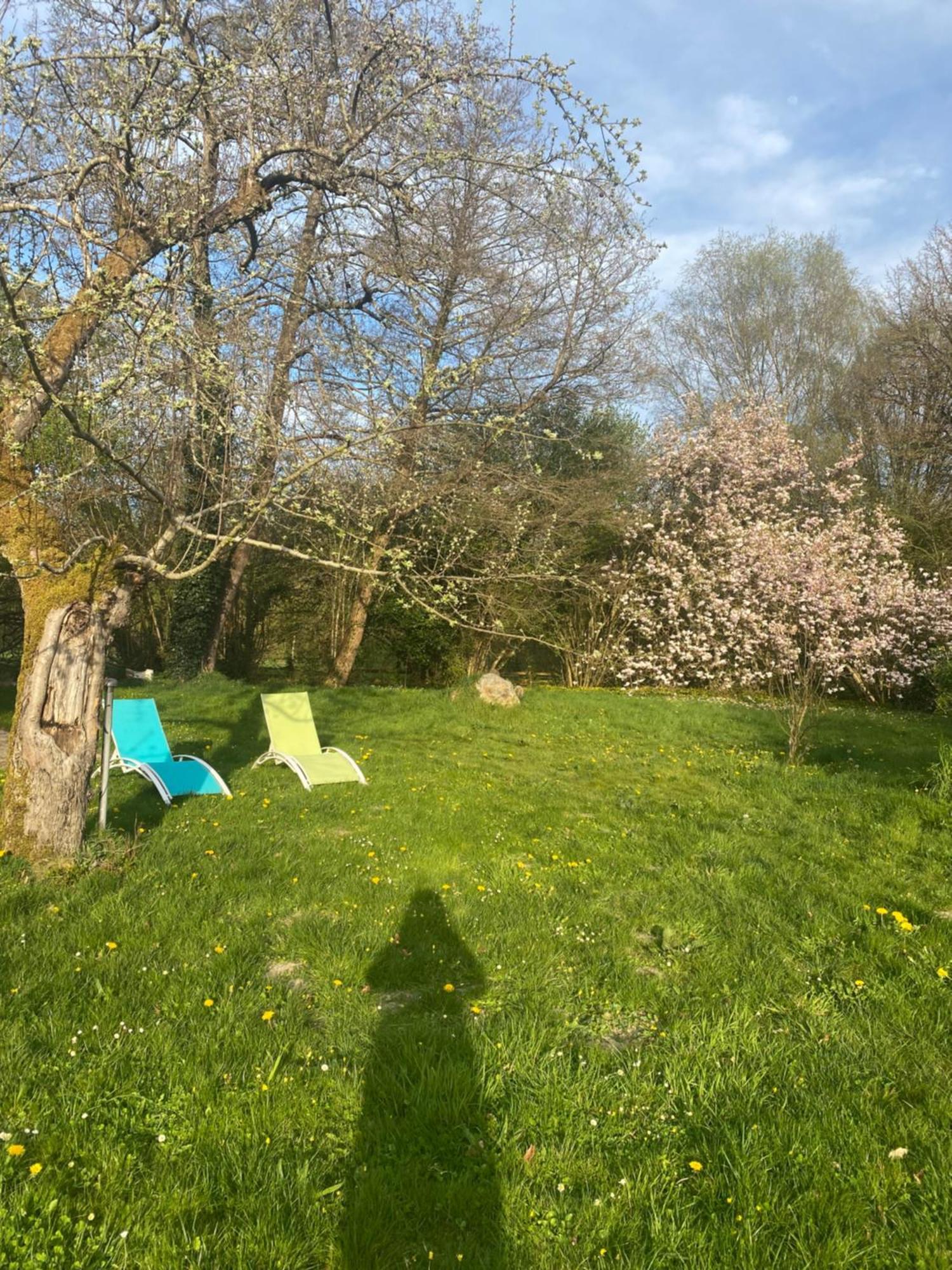 Moulin De Boiscorde Au Centre Du Perche Hotel Rémalard Kültér fotó